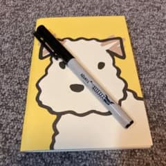 アランジアロンゾのノート&マジック(極細)のサムネイル