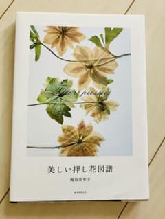 【お値下げしました！】美しい押し花図譜のサムネイル