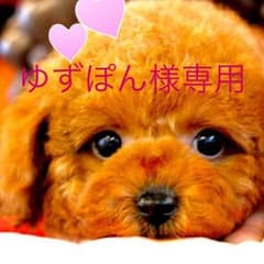 ゆずぽん様専用ですのサムネイル