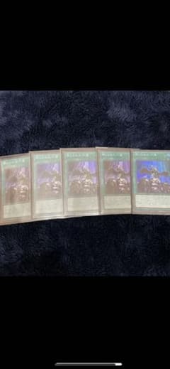 ドラコさん専用禁じられた一雫　2枚セットのサムネイル