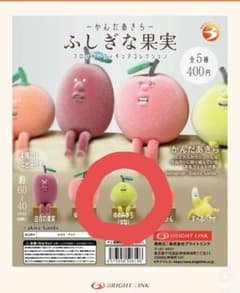 不思議な果実のサムネイル