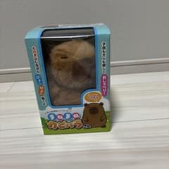 마네마네 카피바라씨