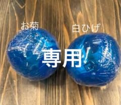【専用】ワンピの実　白ひげ　お菊のサムネイル