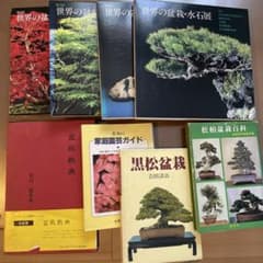 盆栽と水石の専門書籍セット 盆栽と水石の専門書籍セット - メルカリ