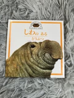 KENNETH LILLY'S ANIMAL ARK しわのあるどうぶつのサムネイル