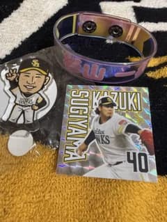 福岡ソフトバンクホークス 杉山一樹 グッズセットのサムネイル