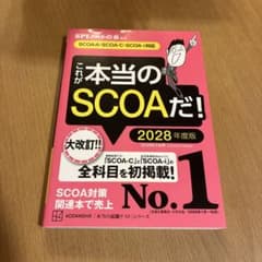 これが本当のSCOAだ! 2028年度版のサムネイル