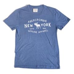★超美品★Abercrombie & Fitch 半袖Tシャツ ロゴ刺繍 青 Sのサムネイル