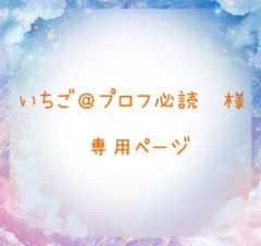 いちご＠プロフ必読　様専用ページのサムネイル