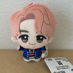[익명 발송] BTS TinyTAN DNA 치비구루미 RM 남준