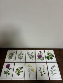 野村陽子 植物細密画 ポストカード 10枚セット ボタニカルアートのサムネイル