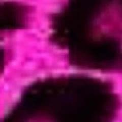 みー様専用のサムネイル