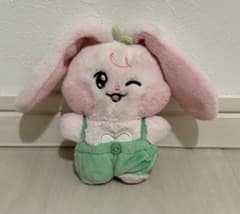 ジェミン kkyuping NCTDREAM LINEfriends ぬいぐるみ - メルカリ