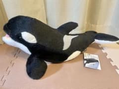 名古屋港水族館限定 シャチのリン ぬいぐるみ - メルカリ