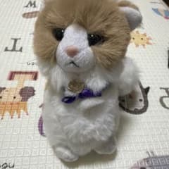 藤原樹　マース　メンプロのサムネイル