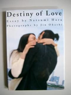 東京湾景 Destiny of Love フォトエッセイ 仲間由紀恵・和田聡宏 