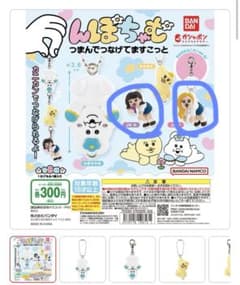 んぽちゃむ つまんでつなげてますこっとのサムネイル