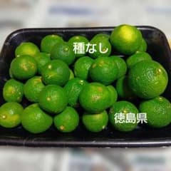 種なしすだち　訳あり　１キロのサムネイル