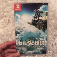 ゼルダの伝説 ティアーズ オブ ザ キングダムのサムネイル