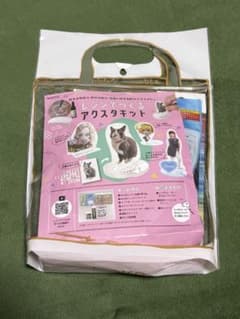 レジンでつくるアクスタキット(未使用・未開封)のサムネイル