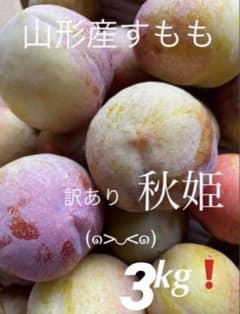 山形産プラム　秋姫3kg❗️ ご家庭用のサムネイル