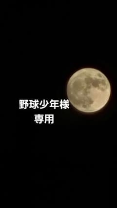 バディファイト 最強竜デッキパーツ 野球少年様専用のサムネイル
