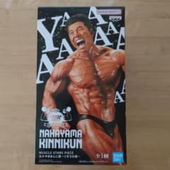 NAKAYAMA KINNIKUN フィギュアのサムネイル