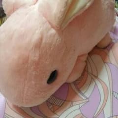 うさぎ ぬいぐるみのサムネイル
