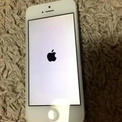 iPhone5 ホワイト 本体のサムネイル