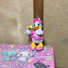 デイジーのサムネイル