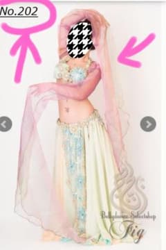 ❮miku様専用❯ベリーダンス　フィグオリジナル　セレッシャルスリーブ　figのサムネイル