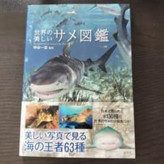 世界の美しいサメ図鑑のサムネイル