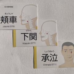パーフェクトツボ暗記カード 国際標準経穴対応版のサムネイル