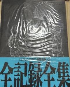 에반게리온 책