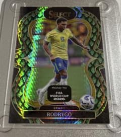Panini Select Rodrygo 18枚限定　ロドリゴのサムネイル