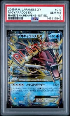 MギャラドスEX psa10 RR XY9 破天の怒り 019/080 - メルカリ