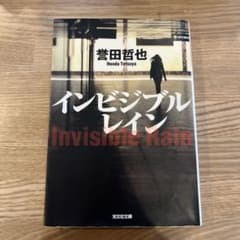 インビジブルレインのサムネイル