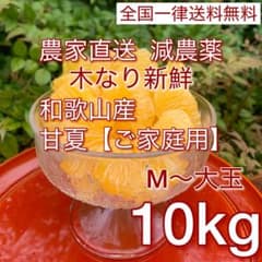 13.和歌山産の減農薬甘夏(あまなつ)10キロご家庭用★M〜大玉混合、木なり新鮮のサムネイル