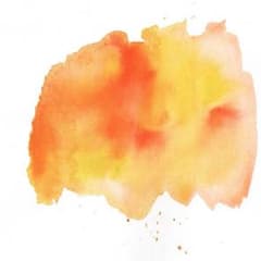 確認用のサムネイル