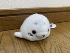 海遊館 アザラシ ぬいぐるみのサムネイル