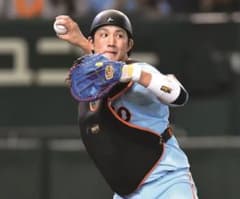 【限定品】小林誠司選手着用 ZETT リストバンド