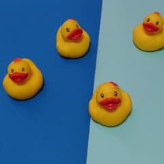 アヒルの友達4個セットのサムネイル