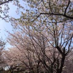 めぐ☆様専用のサムネイル
