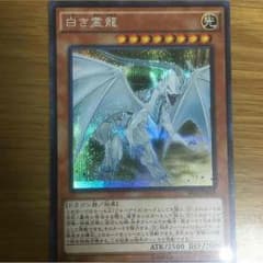 白き霊竜 シクのサムネイル