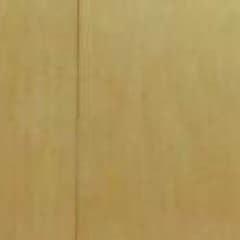専用のサムネイル