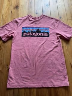 お値下げ可能！！patagonia パタゴニア バックプリントTシャツのサムネイル
