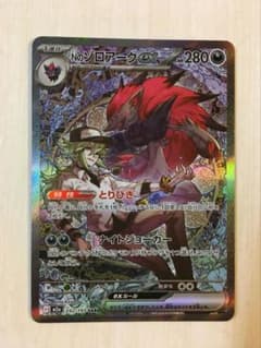 ポケモンカード Nのゾロアークex SAR 242/193 - メルカリ