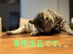 手作りテディベア2点のサムネイル