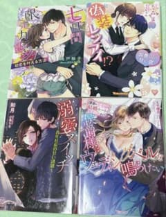 TLティーンズラブ　ライトノベル　まとめ売り①
