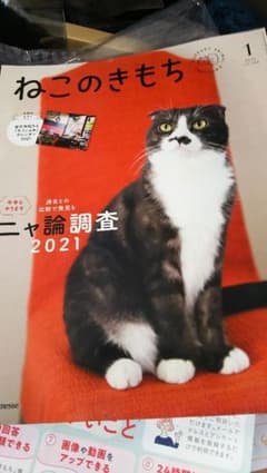 ねこのきもち1月号付録付きのサムネイル